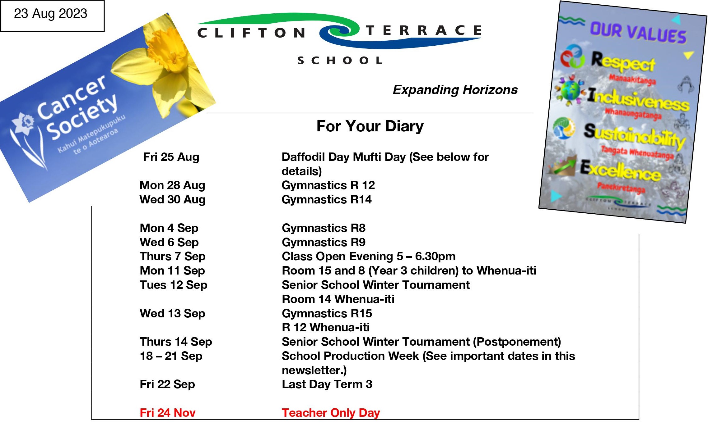 Week 6 Term 3 Newsletter