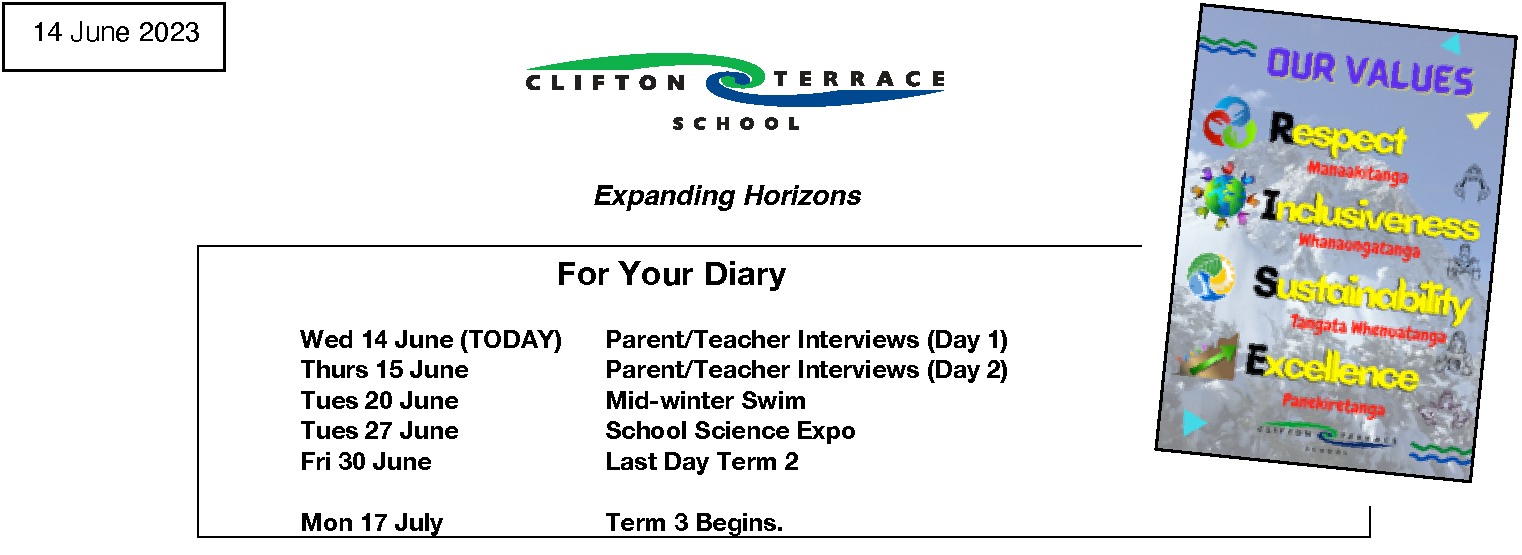 Week 8 Term 2 Newsletter