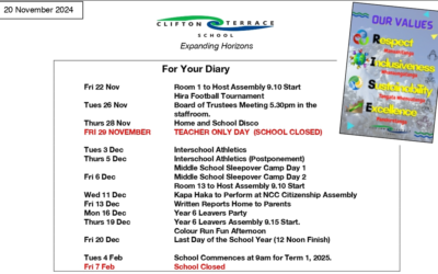 Week 6 Term 4 Newsletter