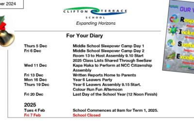 Week 8 Term 4 Newsletter