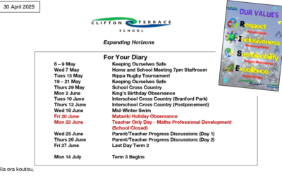 Week 1 Term 2 Newsletter