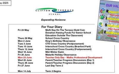 Week 3 Term 2 Newsletter