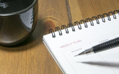 Week 8 Term 3 Newsletter