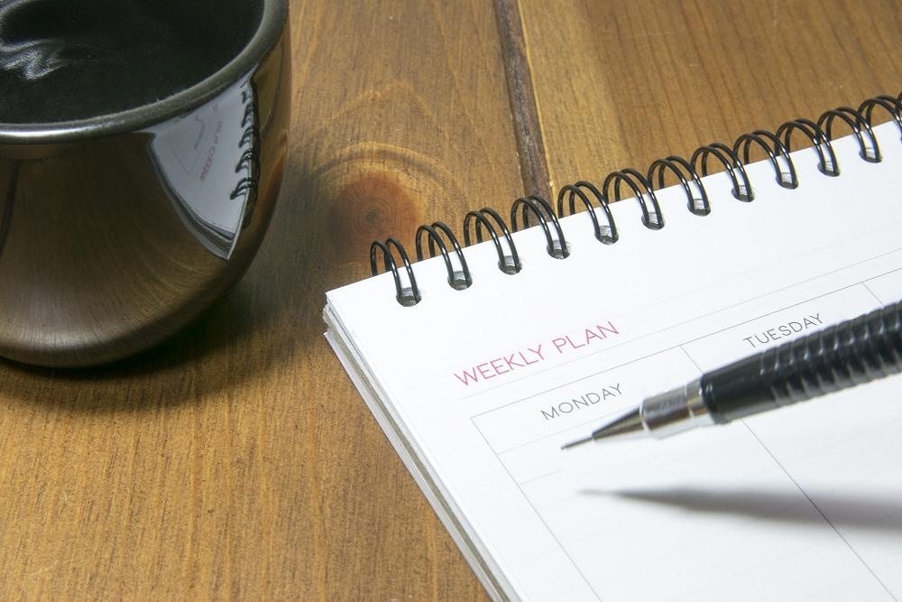 Week 8 Term 3 Newsletter