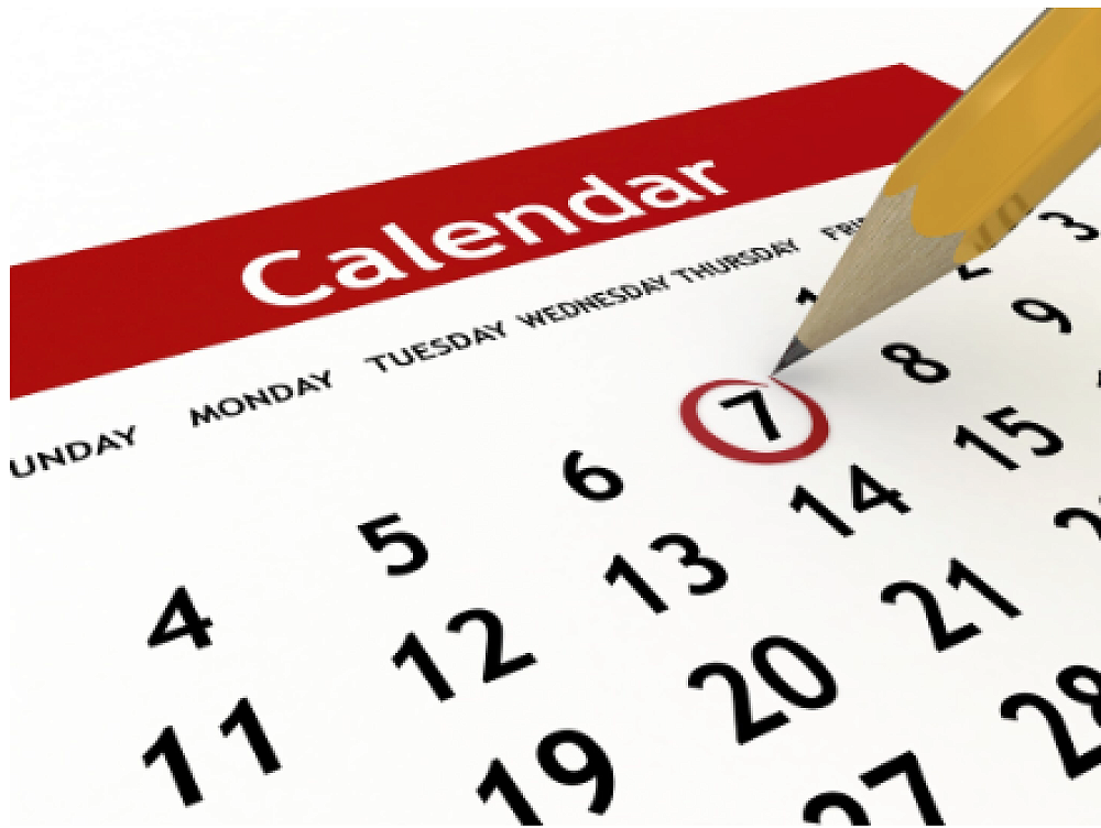 Week 12 Term 3 Newsletter