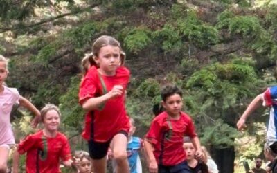 Newsletter Term 2 Week 8