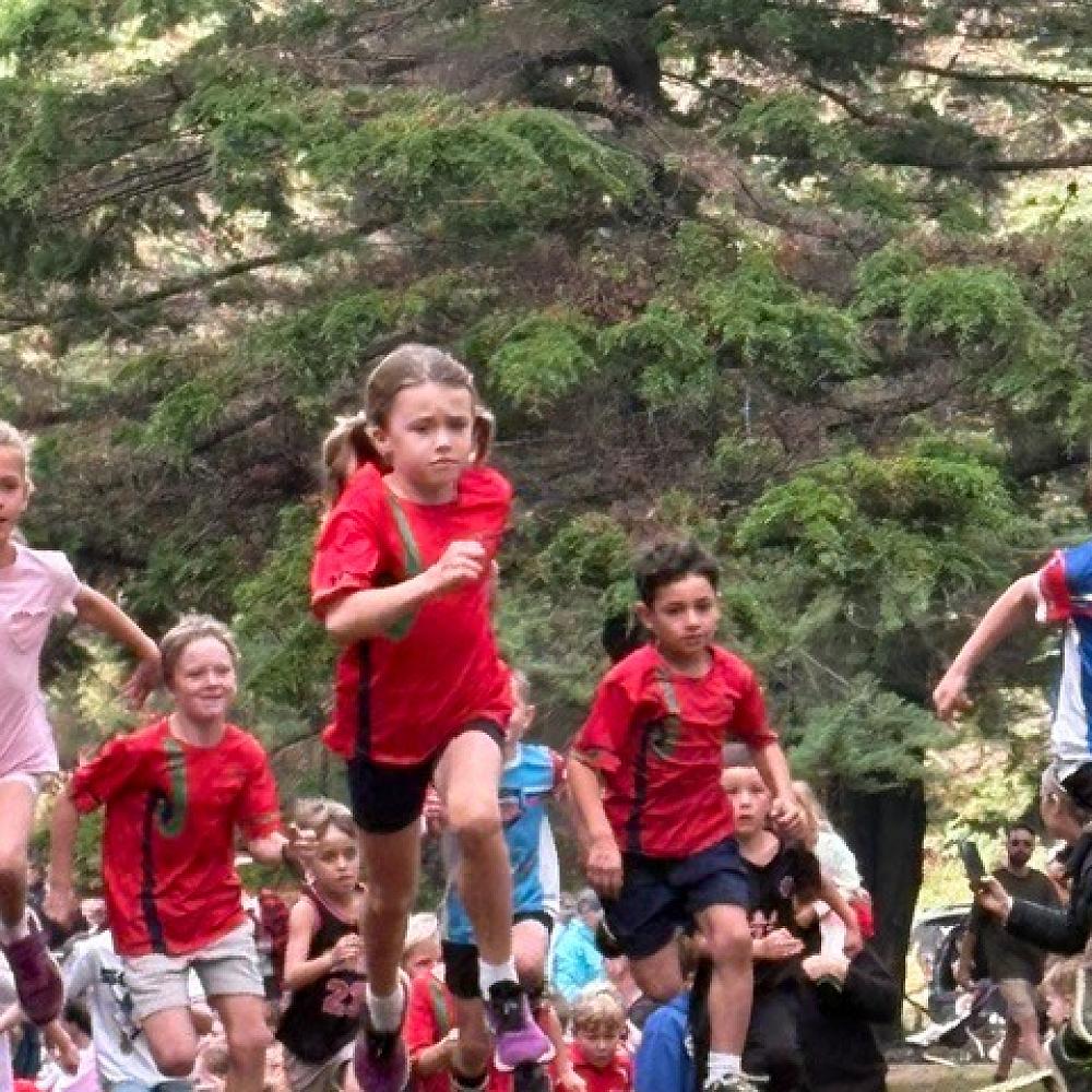 Newsletter Term 2 Week 8