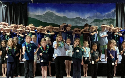 Newsletter Term 3 Week 10