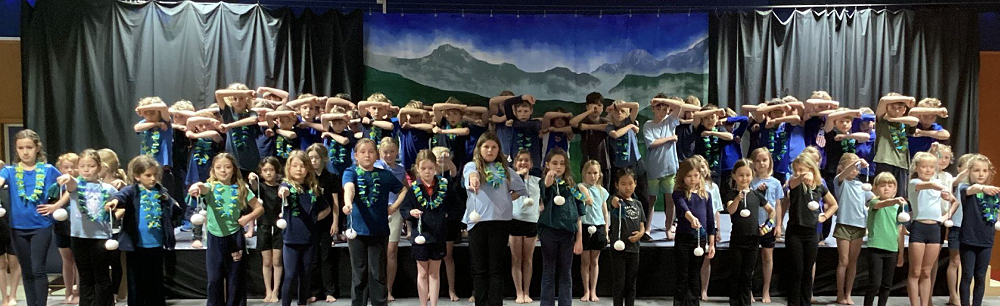 Newsletter Term 3 Week 10